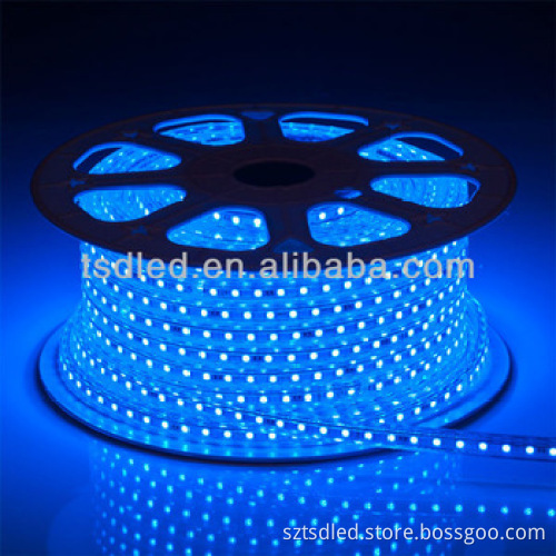 220V LED Strip Lights 3528 SMD LED Ribbon for Outdoor Decorations